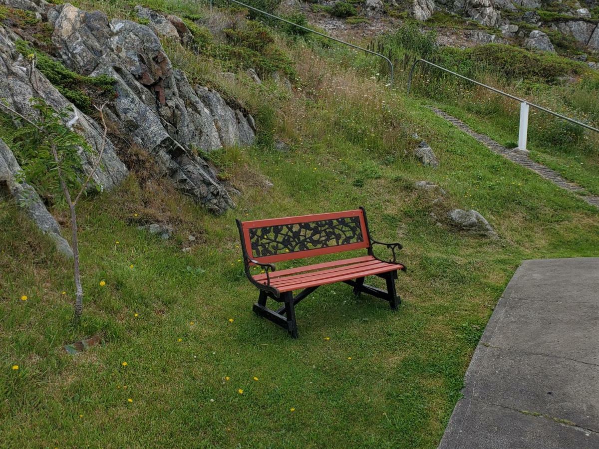 Hillside Cottage 1 Twillingate Eksteriør bilde