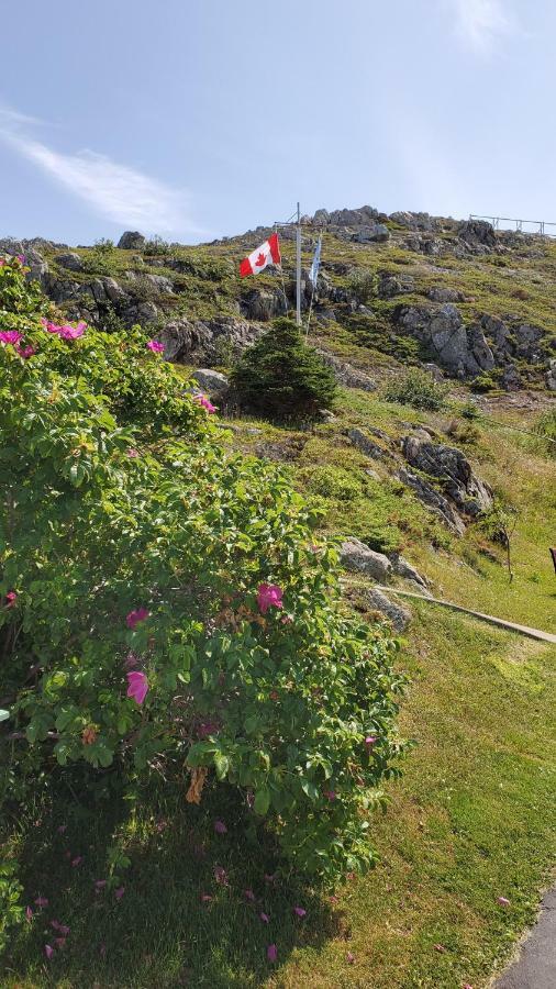 Hillside Cottage 1 Twillingate Eksteriør bilde