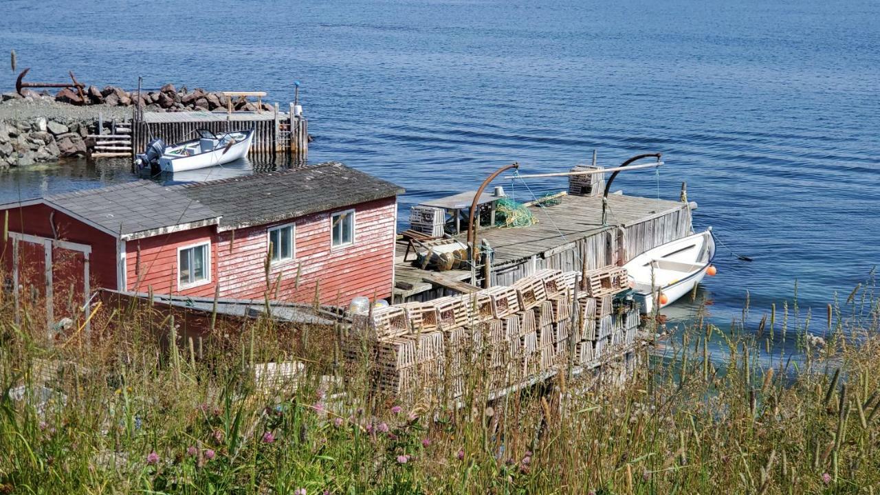 Hillside Cottage 1 Twillingate Eksteriør bilde